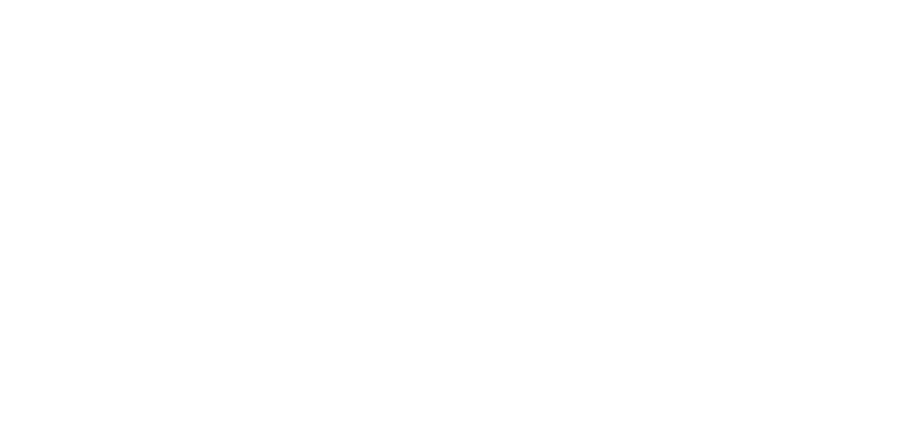 Kundenlogo 2